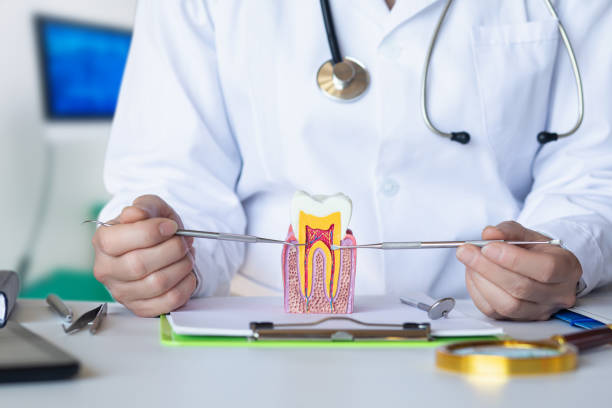 Best Emergency Dentist for Kids  in Teaticket, MA